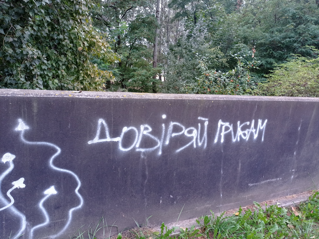 Напис на кам’яному заборі «Довіряй грибам»