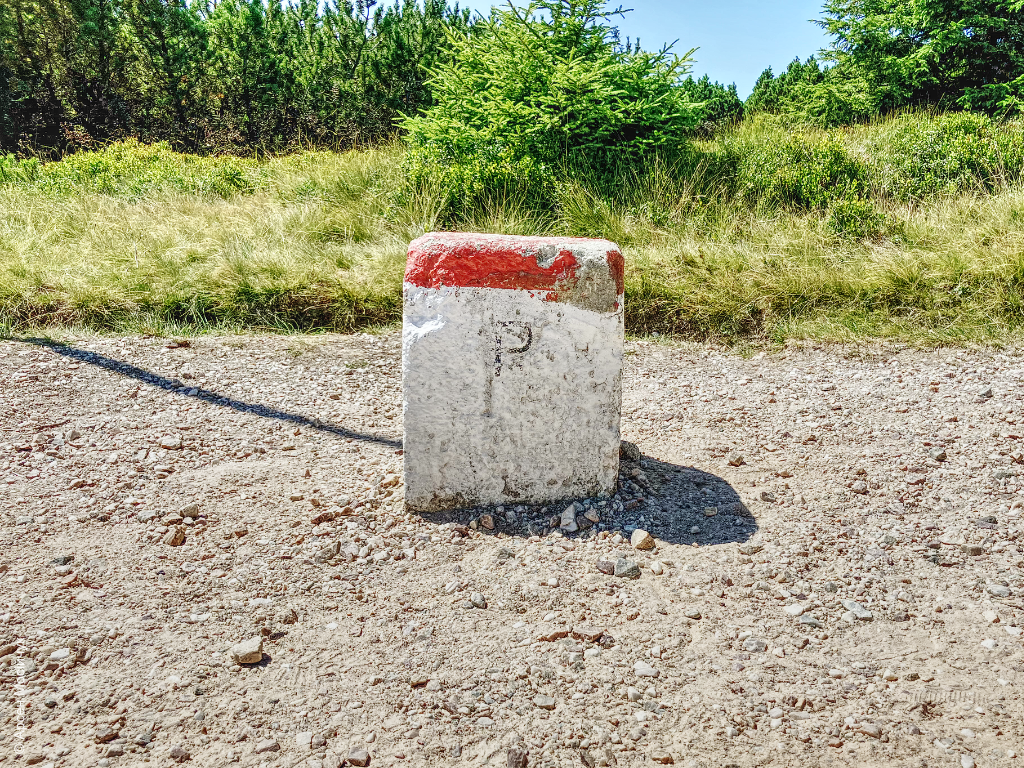 Карконоші
