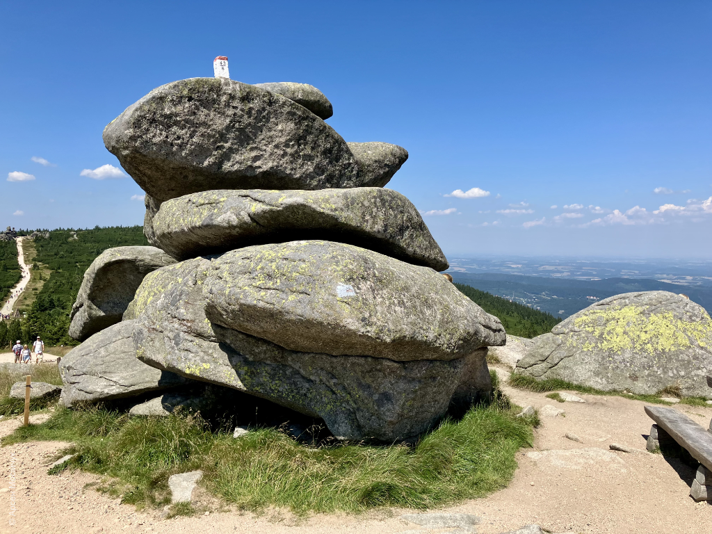Карконоші