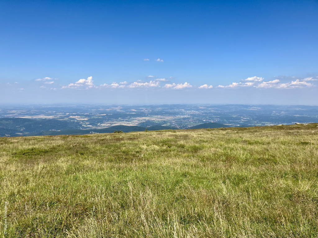 Карконоші