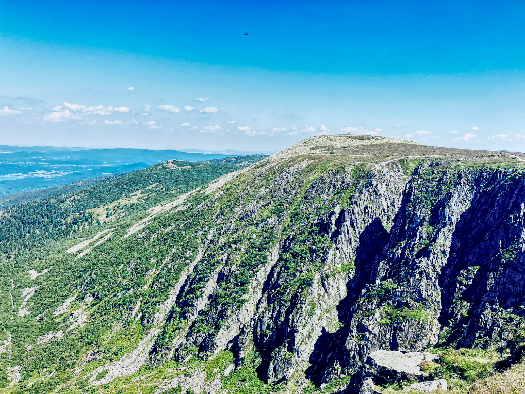 Карконоші
