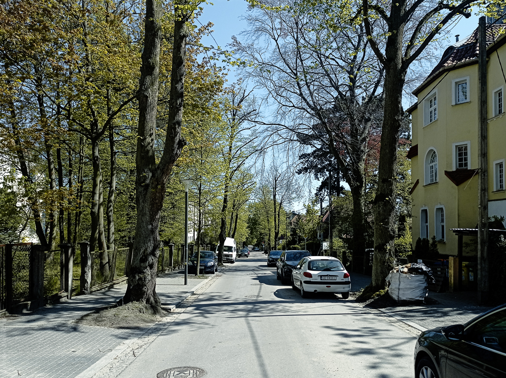 Зелень