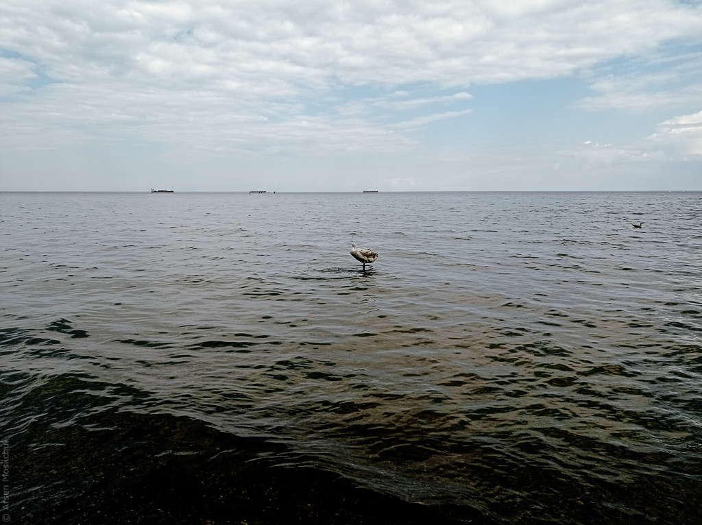 Море