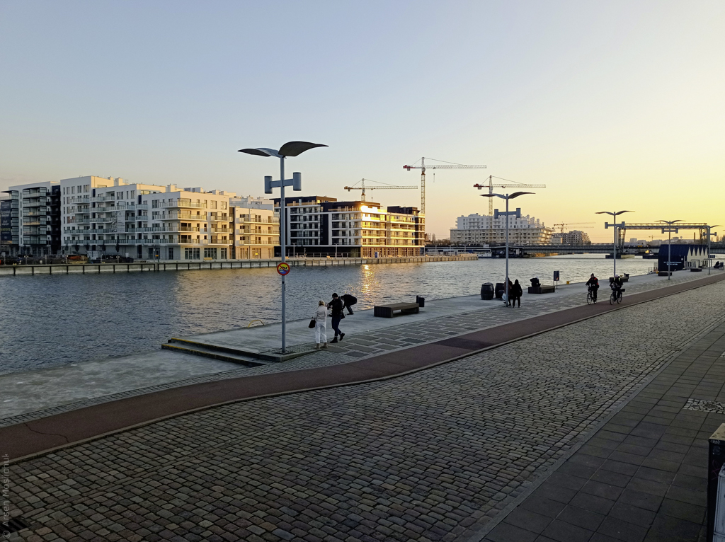 IMG_20250322_174543.jpg