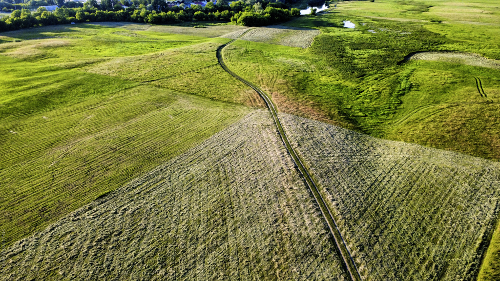 dji_fly_20250615_192440_64_1750008576152_photo_optimized.jpg