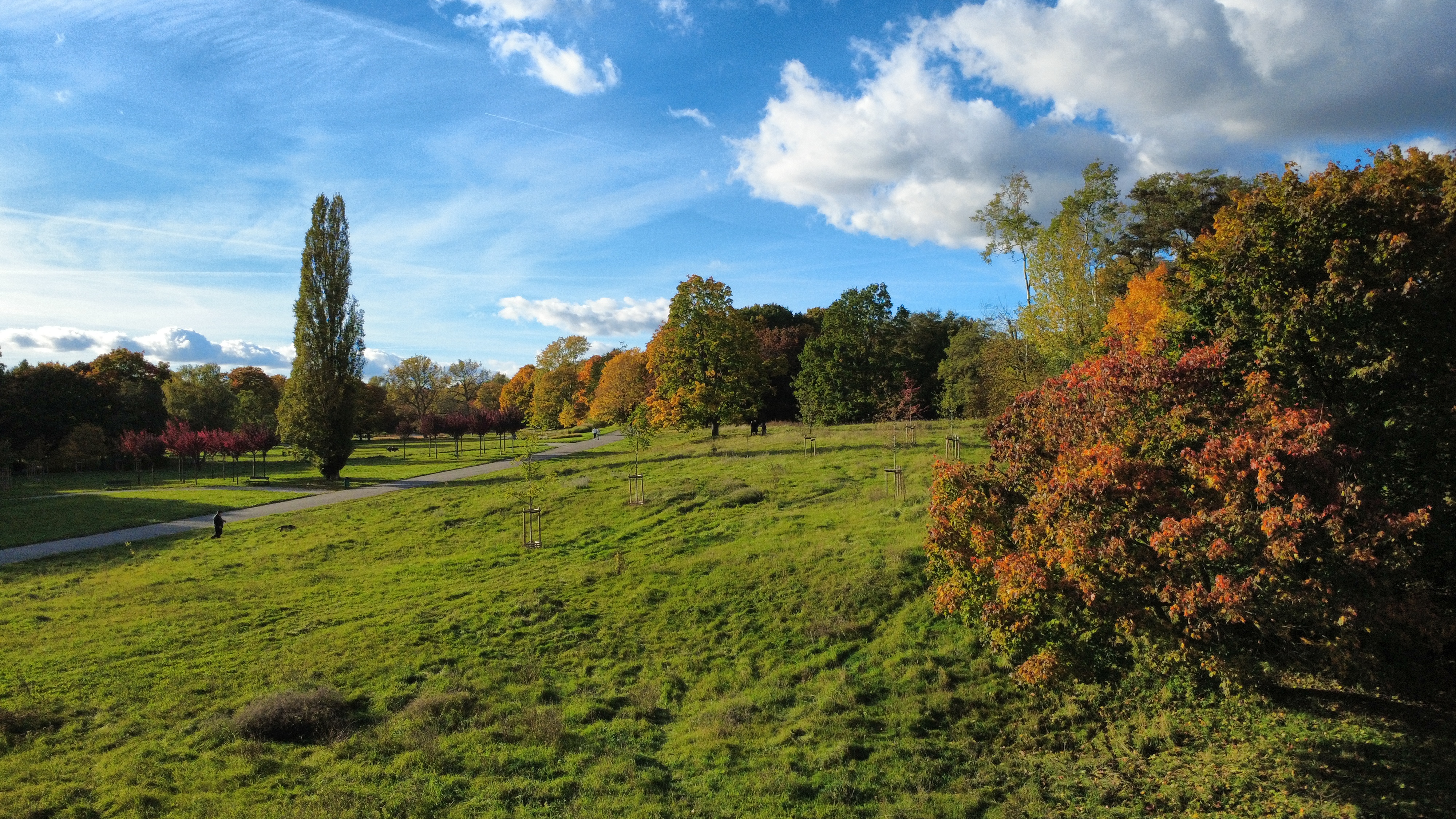 dji_fly_20251013_155426_229_1760363676829_photo_optimized.jpg